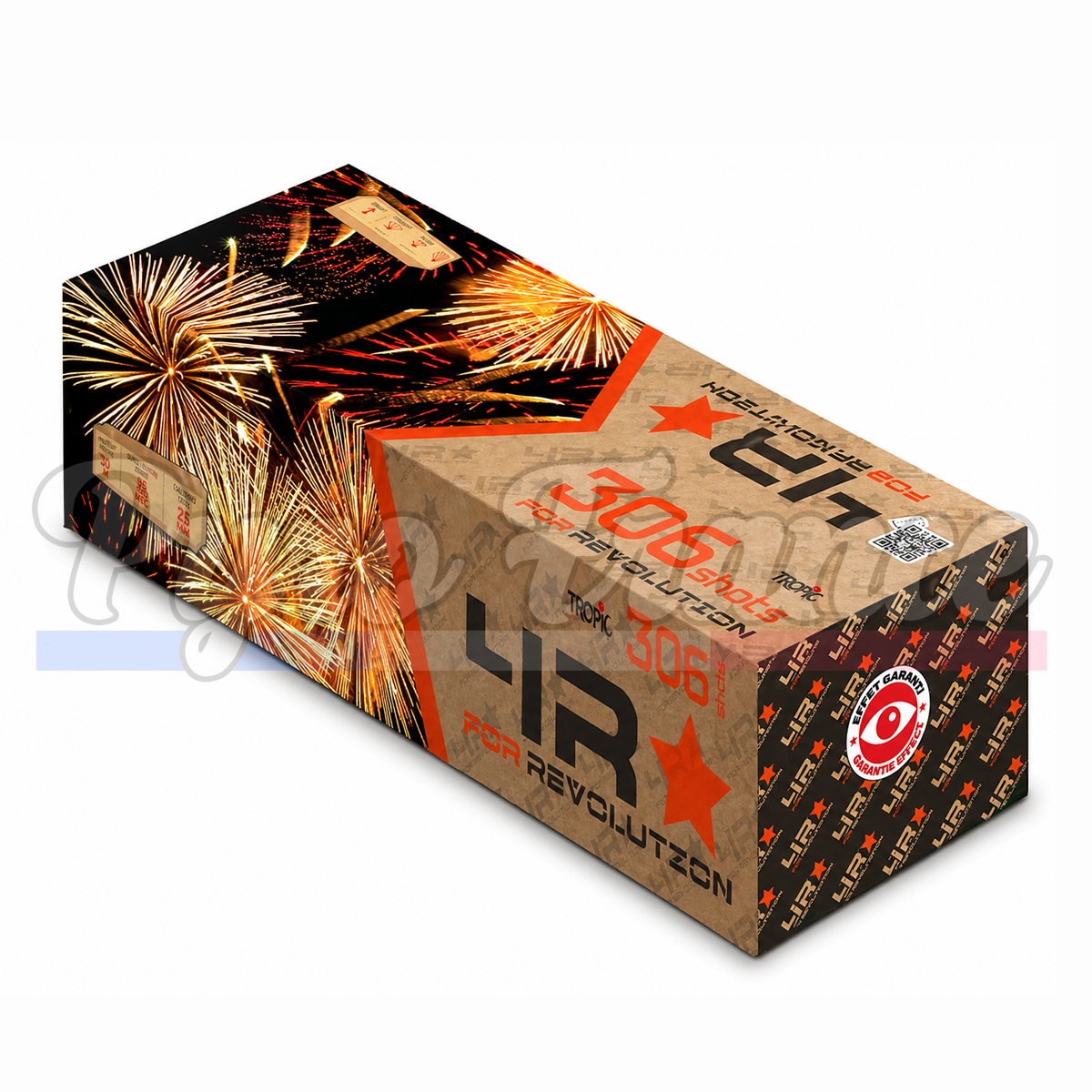 Revolution (306 coups)