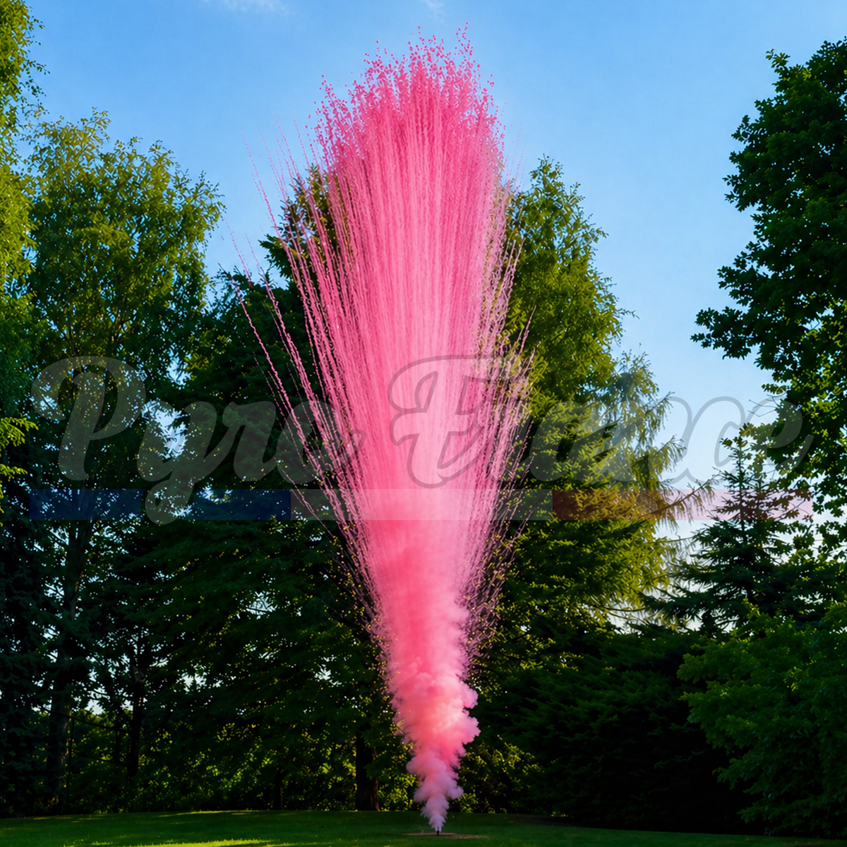 Feu de jour Rose