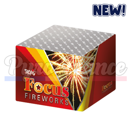 Focus (64 coups)