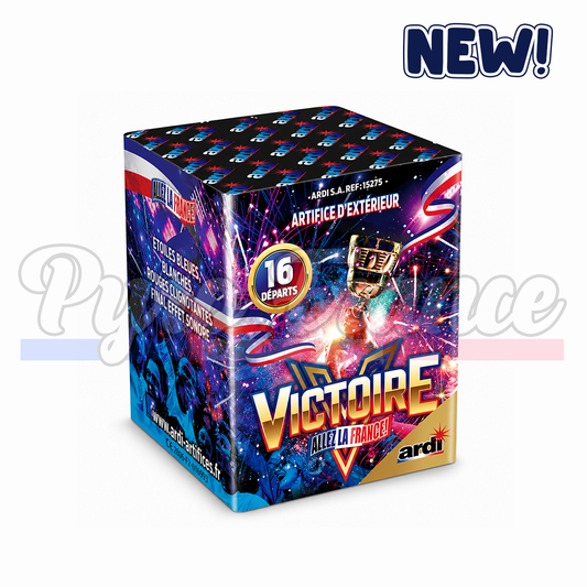 Victoire (16 coups)